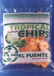 kripnangelpuente.jpg